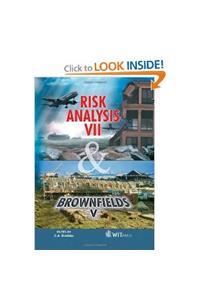 Risk Analysis VII