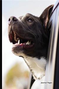 Journal Pages - Car Dog(Unruled)
