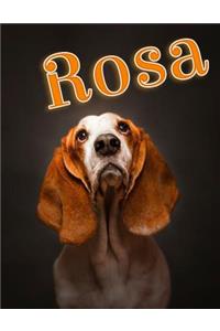 Rosa