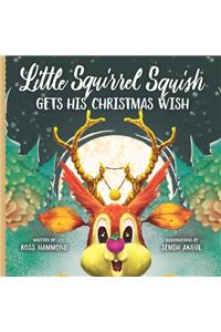 Little Squirrel Squish Gets His Christmas Wish
