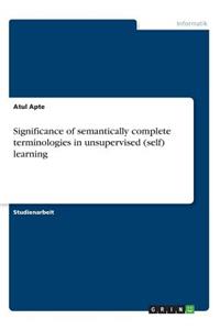 Significance of semantically complete terminologies in unsupervised (self) learning