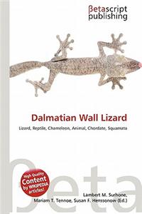 Dalmatian Wall Lizard