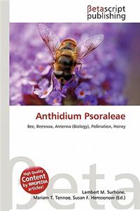 Anthidium Psoraleae