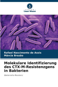 Molekulare Identifizierung des CTX-M-Resistenzgens in Bakterien