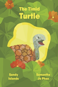 Timid Turtle