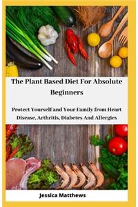 The Plant Based Diet For Absolute Beginners