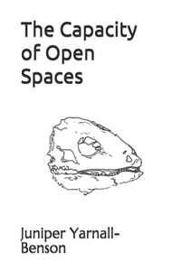 Capacity of Open Spaces