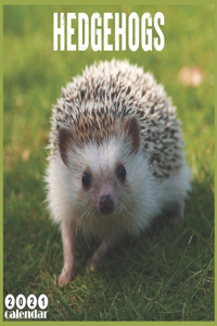 Hedgehogs 2021 Calendar