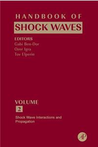 Handbook of Shock Waves, Three Volume Set