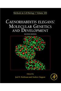 Caenorhabditis Elegans
