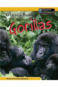 Life in a Band of Gorillas