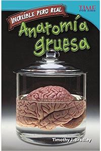 Increible Pero Real: Anatomia Gruesa (Strange But True: Gross Anatomy)