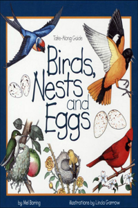 Birds, Nests, and Eggs