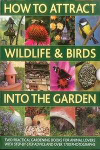 How to Attract Wildlife & Birds Into the Garden