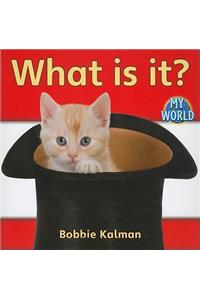 What Is It?