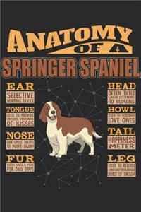 Anatomy Of A Springer Spaniel