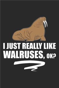 I Just Really Like Walruses, ok?