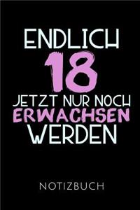 Endlich 18 Notizbuch