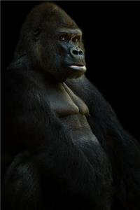 Monkey Notebook