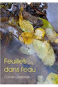 Feuilles Dans L'eau 2017