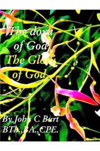 The Doxa of God; the Glory of God.