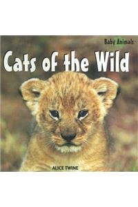Cats of the Wild