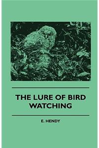 Lure of Bird Watching
