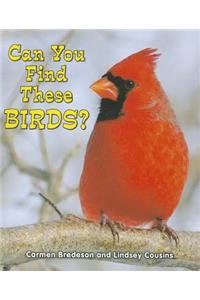 Can You Find These Birds?