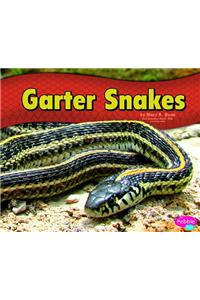 Garter Snakes