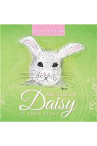 The Tale of Daisy