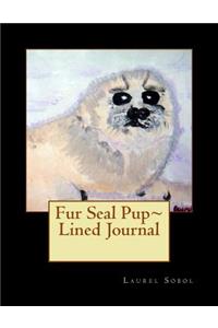 Fur Seal Pup Lined Journal