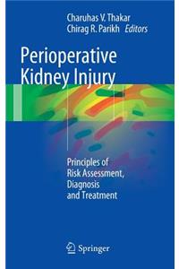 Perioperative Kidney Injury