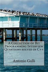 Collection of Bit Programming Interview Questions solved in C++
