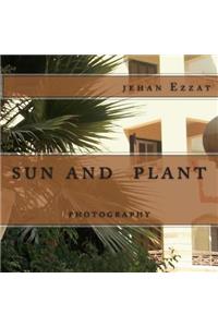 Sun and Plant: Photography