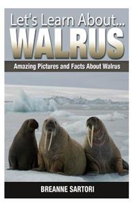 Walrus