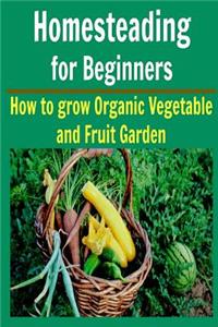 Homesteading For Beginners