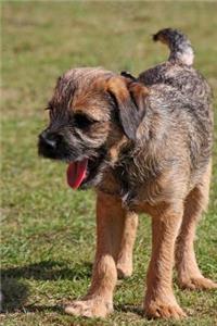 The Border Terrier Dog Journal