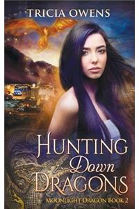 Hunting Down Dragons
