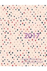 Pretty Rainbow Dots 2017 Monthly Planner