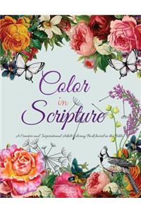 Color In Scripture