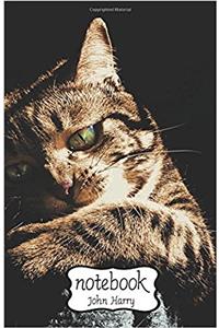 Notebook Journal Dot-grid, Graph, Lined, Blank, No Lined - Nice Cat: Small Pocket Notebook / Journal / Diary