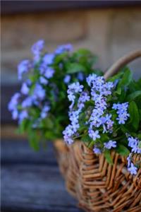 Forget Me Not Flowers in a Basket Journal