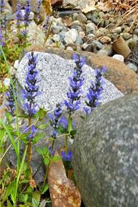 Journal Rocks Flowers