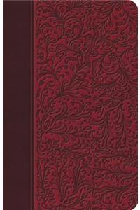Santa Biblia-Rvr 1977
