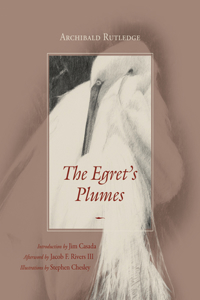 Egret's Plumes