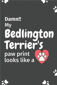 Damn!! my Bedlington Terrier's paw print looks like a