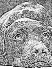 2020 Daily Planner Dog Photo Artistic Rendering Chocolate Lab 388 Pages