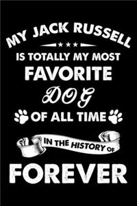 My Jack Russell Is Totally My Most Favorite Dog Of All Time In The History Of Forever