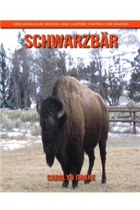 Schwarzbär