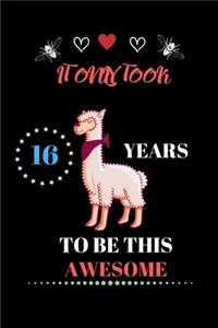 It Only Took 16 Years to be this Awesome